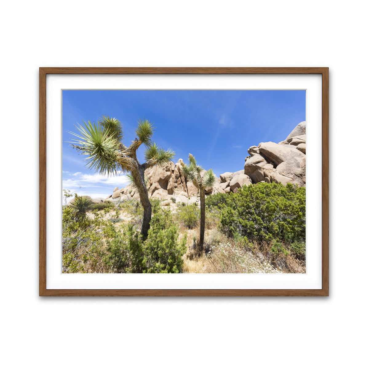 Framed Print 4x3 Walnut