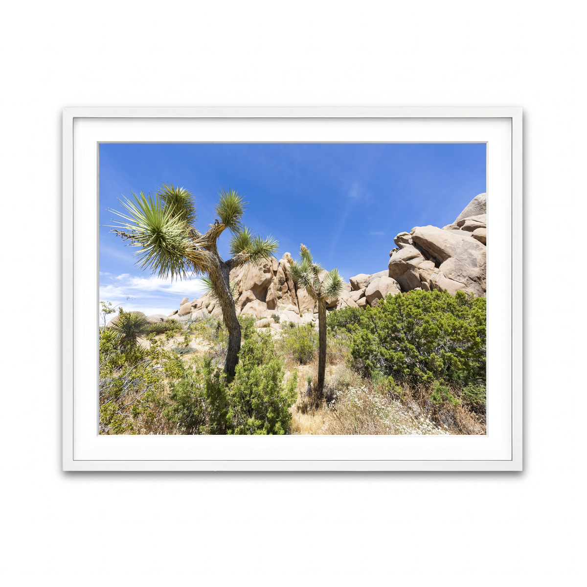 Framed Print 4x3 White