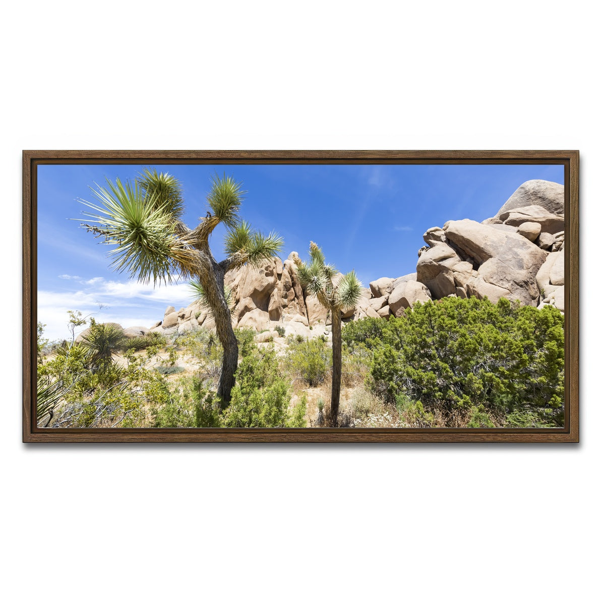 AUTO-MOCKUP WHITE | Impression from Joshua Tree National Park | 1 Piece | Walnut Framed Canvas | group=2x1