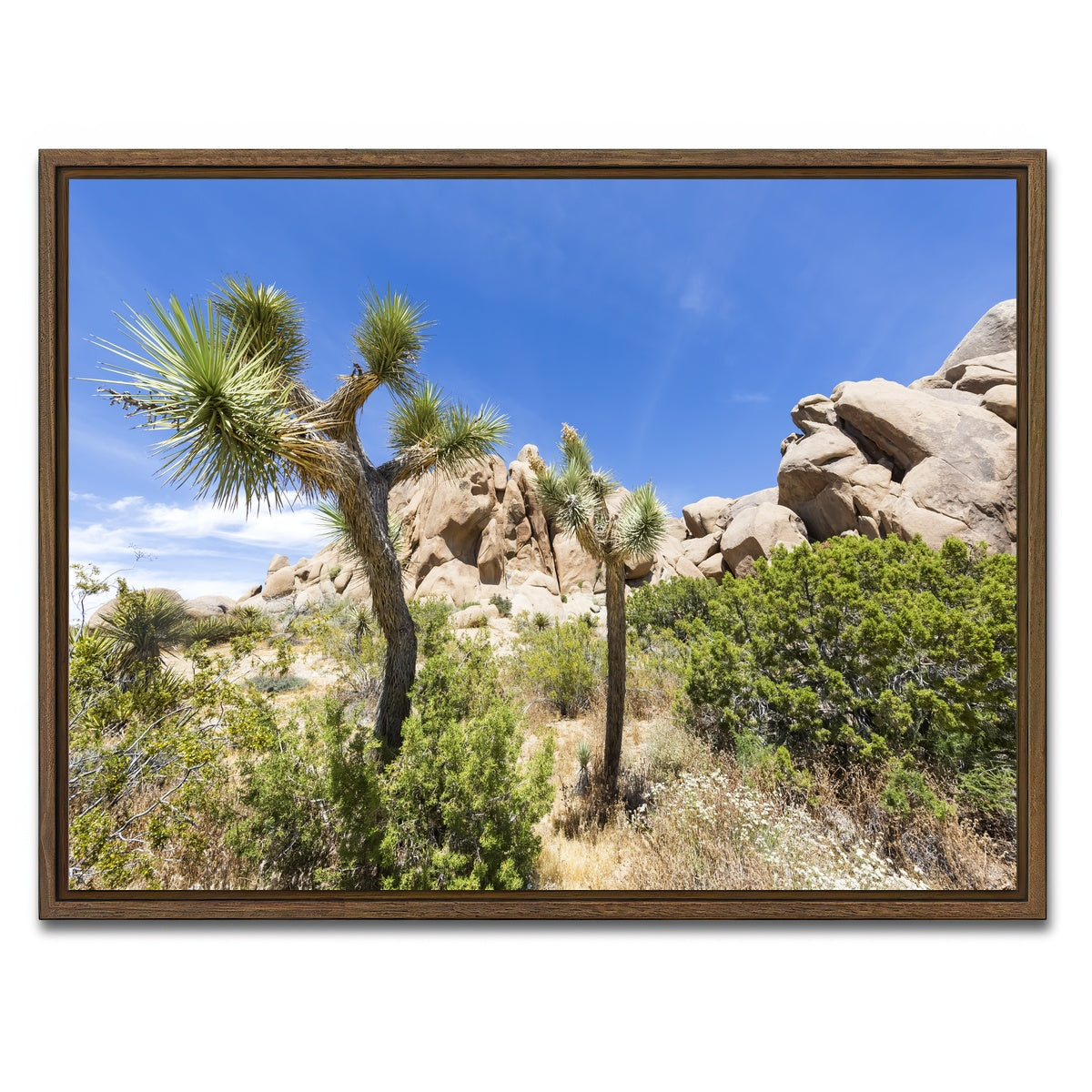 AUTO-MOCKUP WHITE | Impression from Joshua Tree National Park | 1 Piece | Walnut Framed Canvas | group=4x3