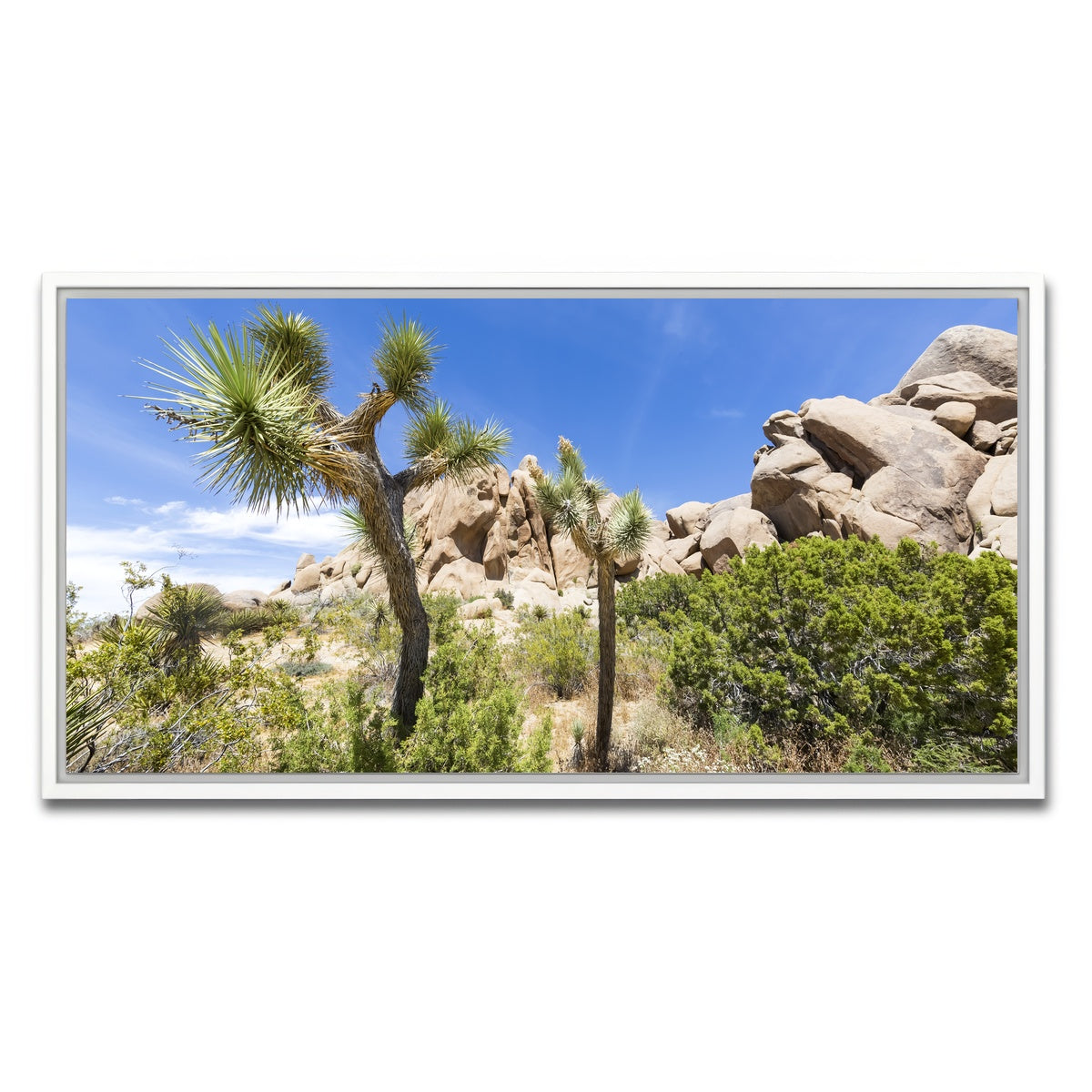 AUTO-MOCKUP WHITE | Impression from Joshua Tree National Park | 1 Piece | White Framed Canvas | group=2x1