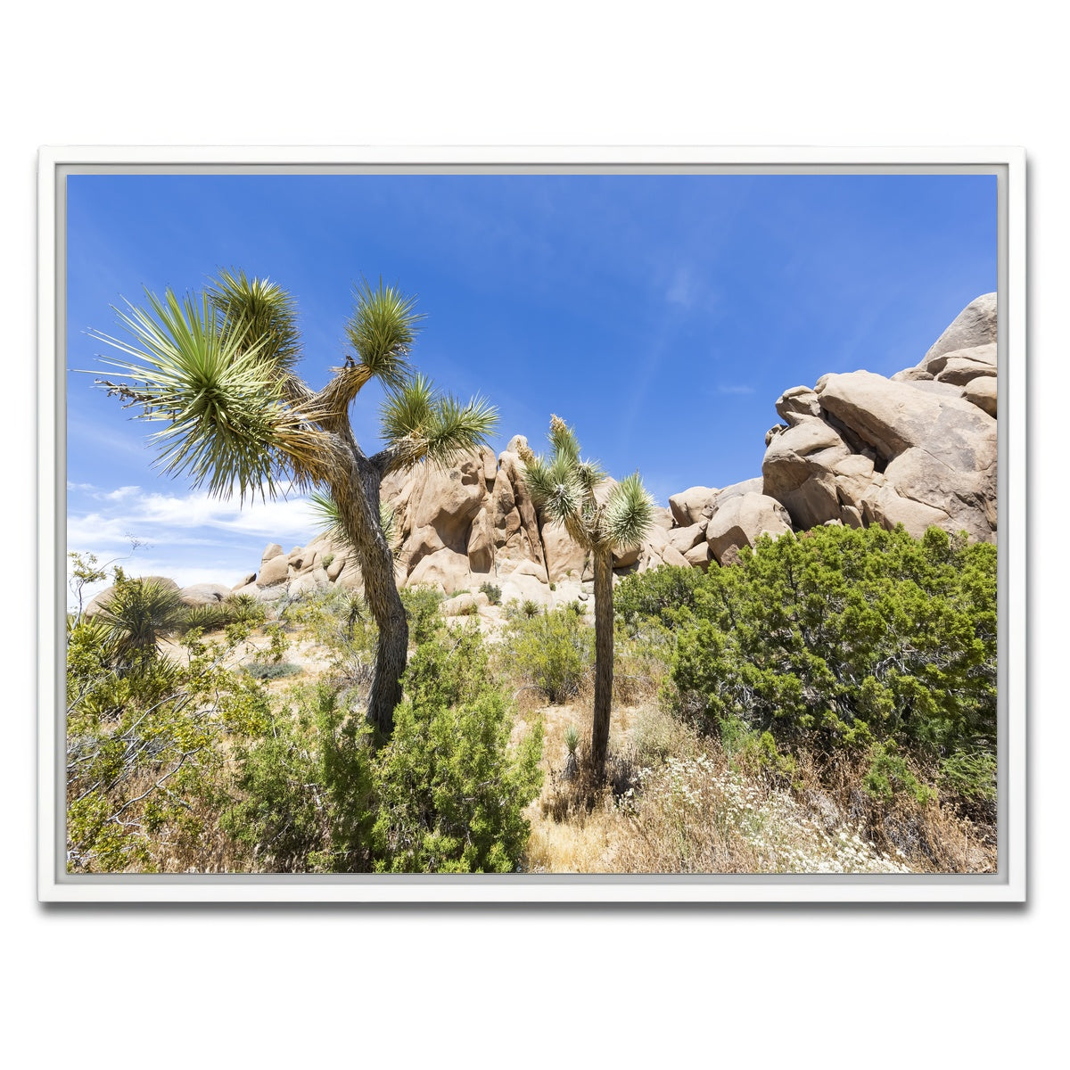 AUTO-MOCKUP WHITE | Impression from Joshua Tree National Park | 1 Piece | White Framed Canvas | group=4x3