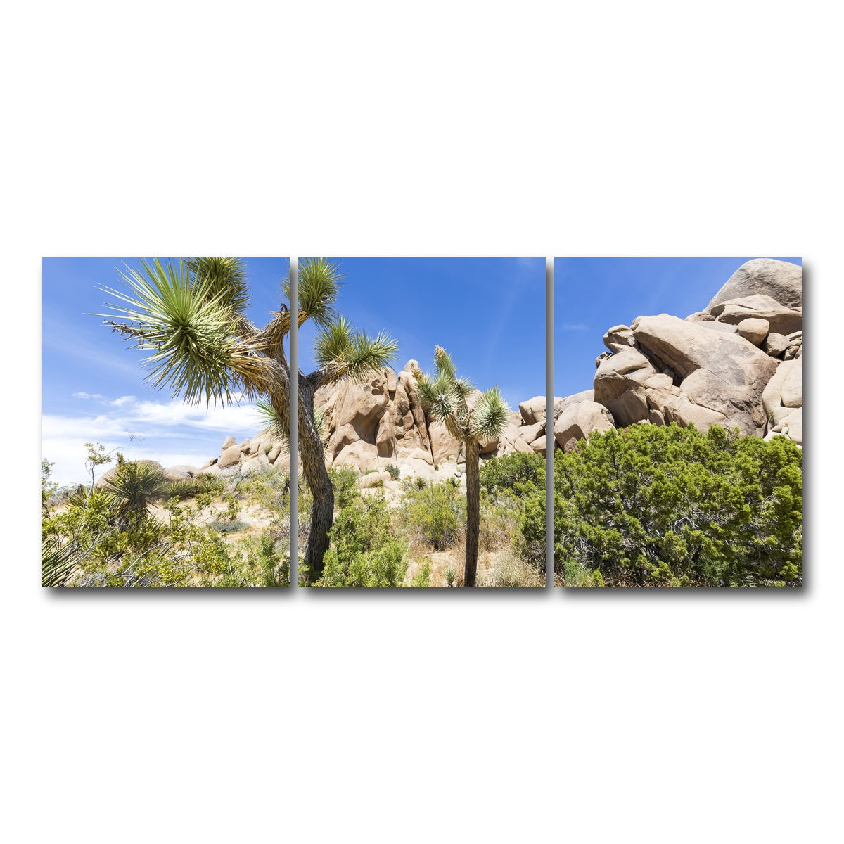 AUTO-MOCKUP WHITE | Impression from Joshua Tree National Park | 3 Piece | Gallery Wrap Canvas | group=18x24