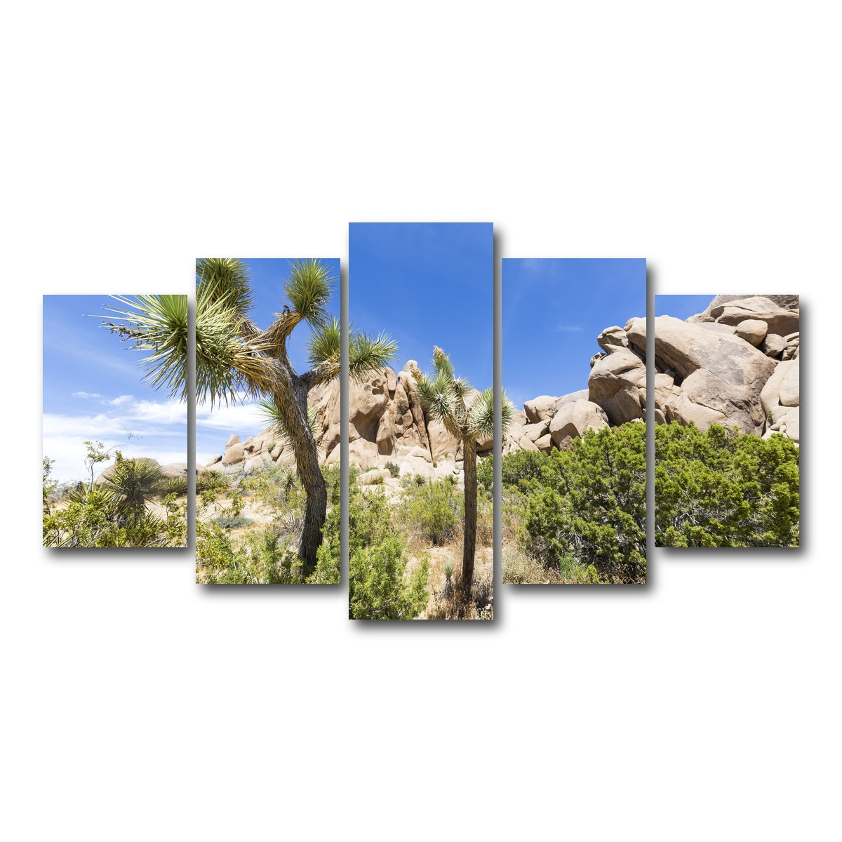 AUTO-MOCKUP WHITE | Impression from Joshua Tree National Park | 5 Piece | Gallery Wrap Canvas | group=5_normal