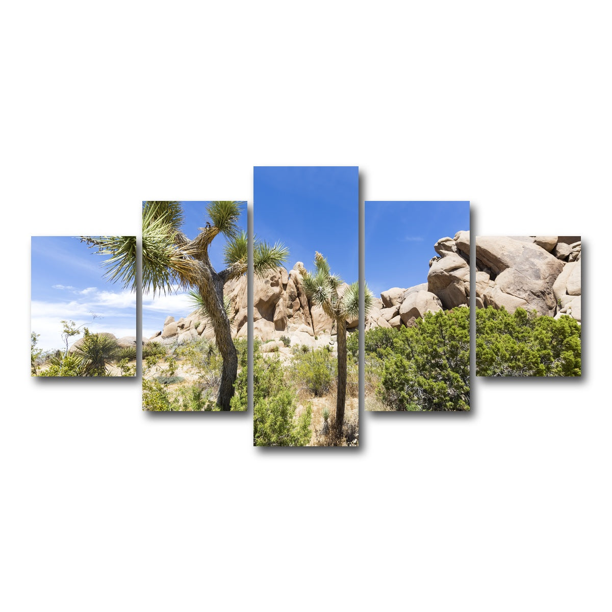 AUTO-MOCKUP WHITE | Impression from Joshua Tree National Park | 5 Piece | Gallery Wrap Canvas | group=5_short
