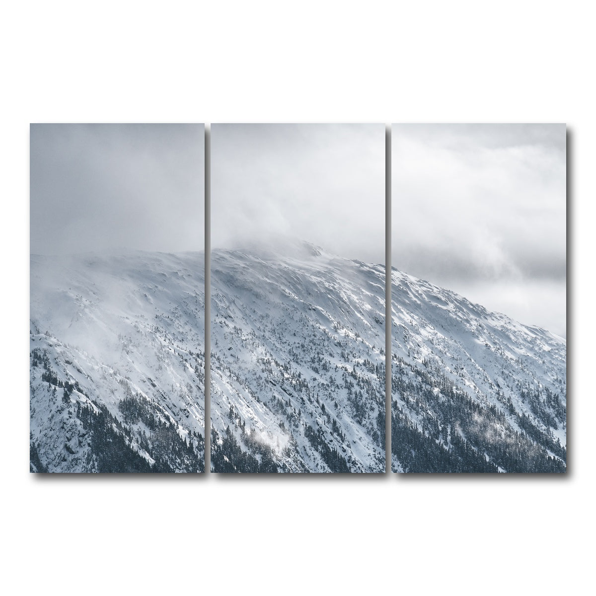 AUTO-MOCKUP WHITE | In The Clouds | 3 Piece | Gallery Wrap Canvas | group=12x24