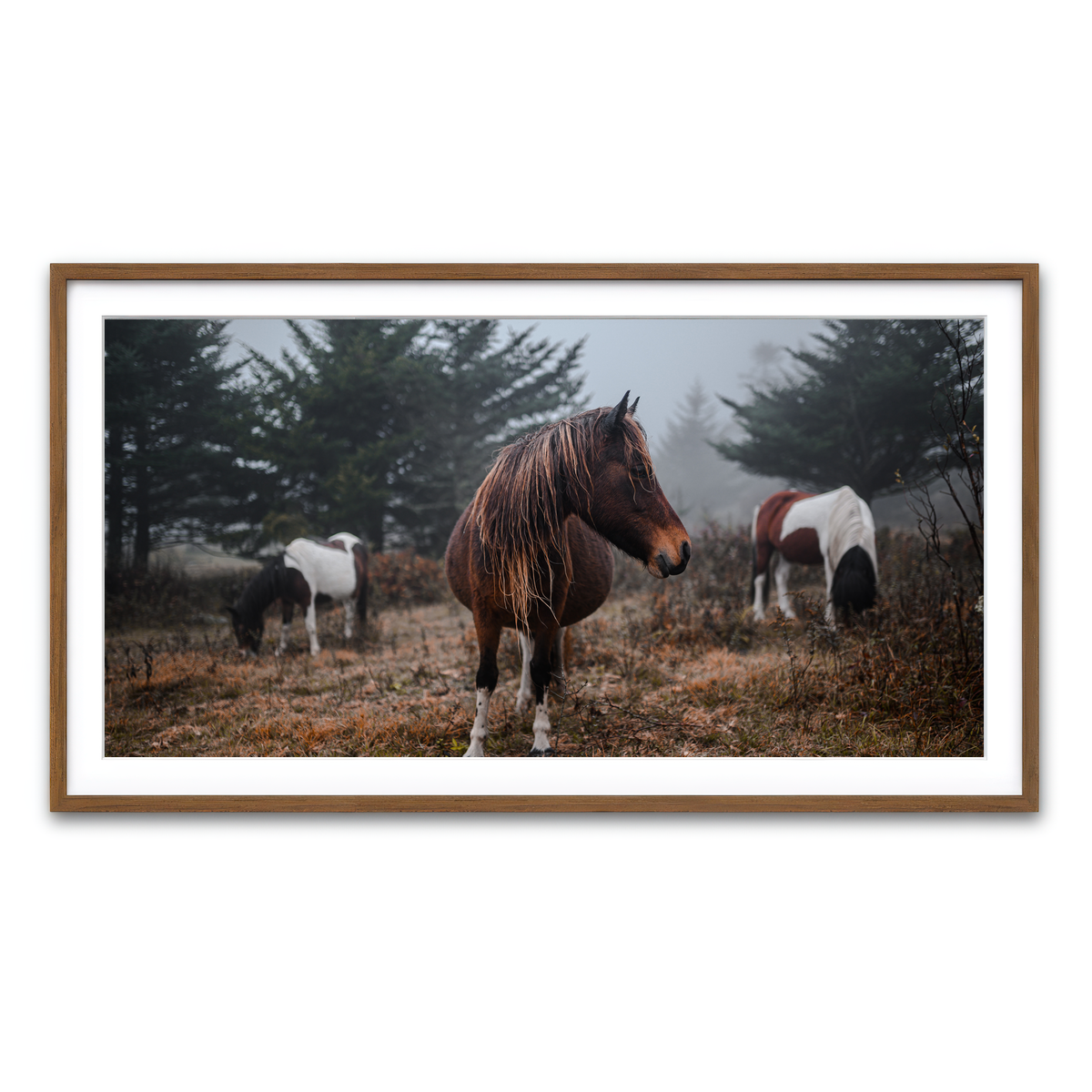Framed Print 2x1 Walnut