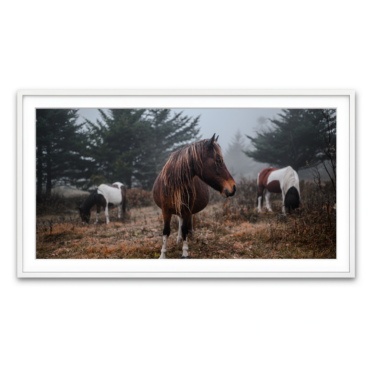Framed Print 2x1 White