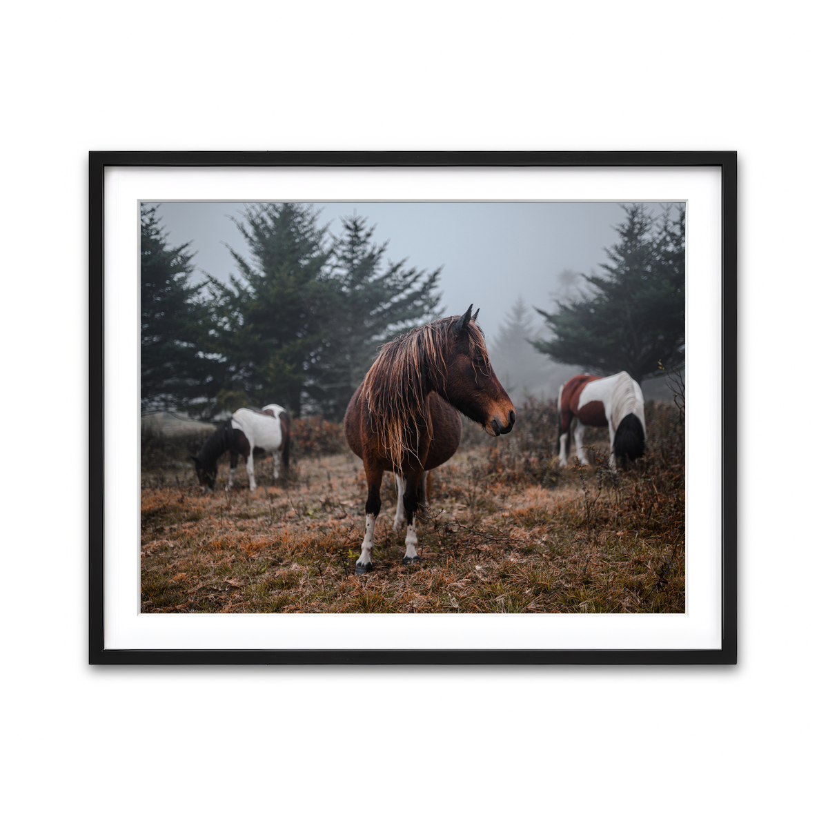 Framed Print 4x3 Black