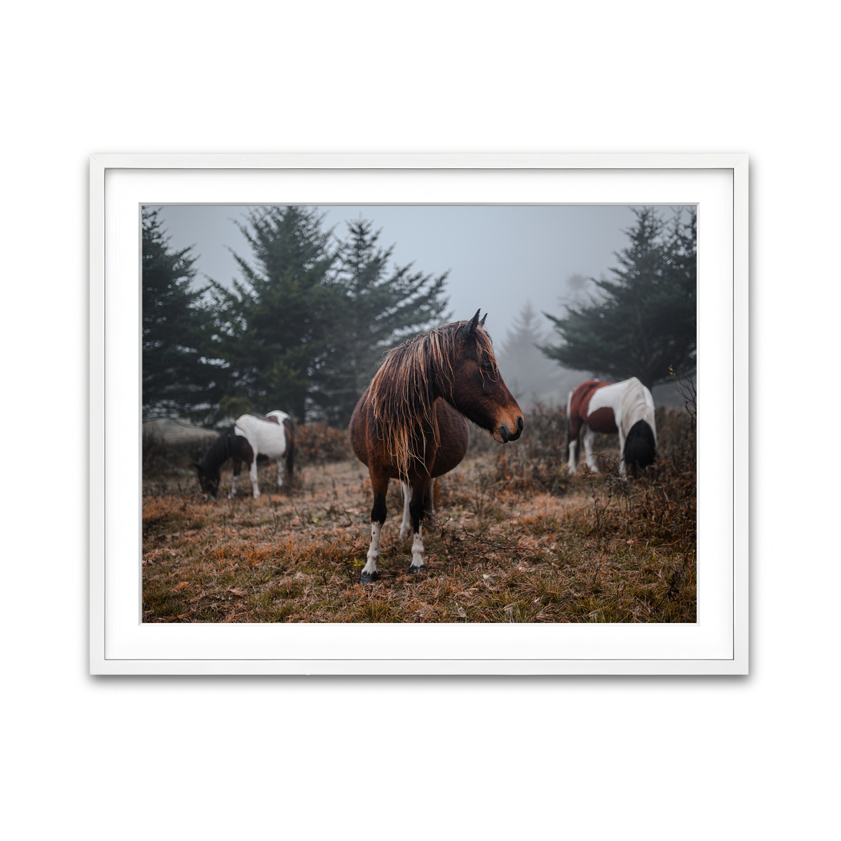 Framed Print 4x3 White