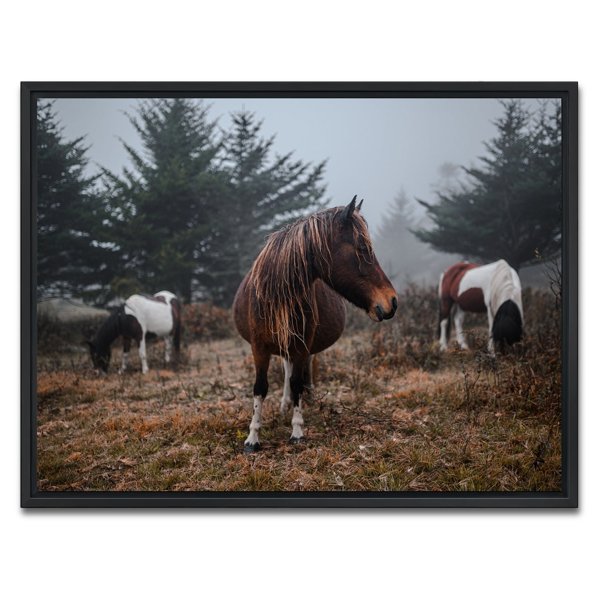 AUTO-MOCKUP WHITE | In the Wild | 1 Piece | Black Framed Canvas | group=4x3