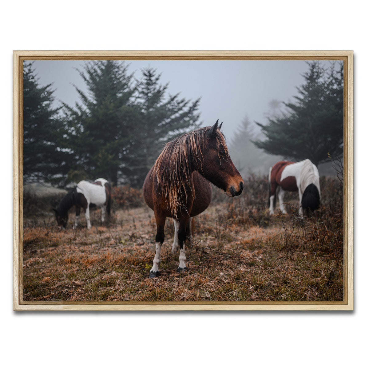 AUTO-MOCKUP WHITE | In the Wild | 1 Piece | Natural Framed Canvas | group=4x3
