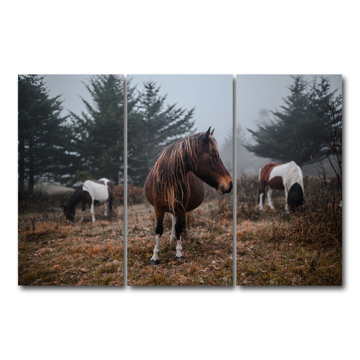 AUTO-MOCKUP WHITE | In the Wild | 3 Piece | Gallery Wrap Canvas | group=12x24