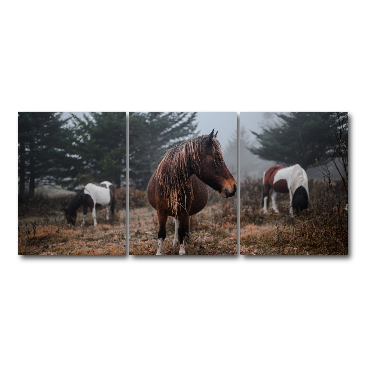AUTO-MOCKUP WHITE | In the Wild | 3 Piece | Gallery Wrap Canvas | group=18x24