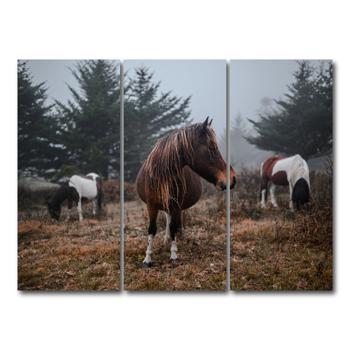 AUTO-MOCKUP WHITE | In the Wild | 3 Piece | Gallery Wrap Canvas | group=8x18