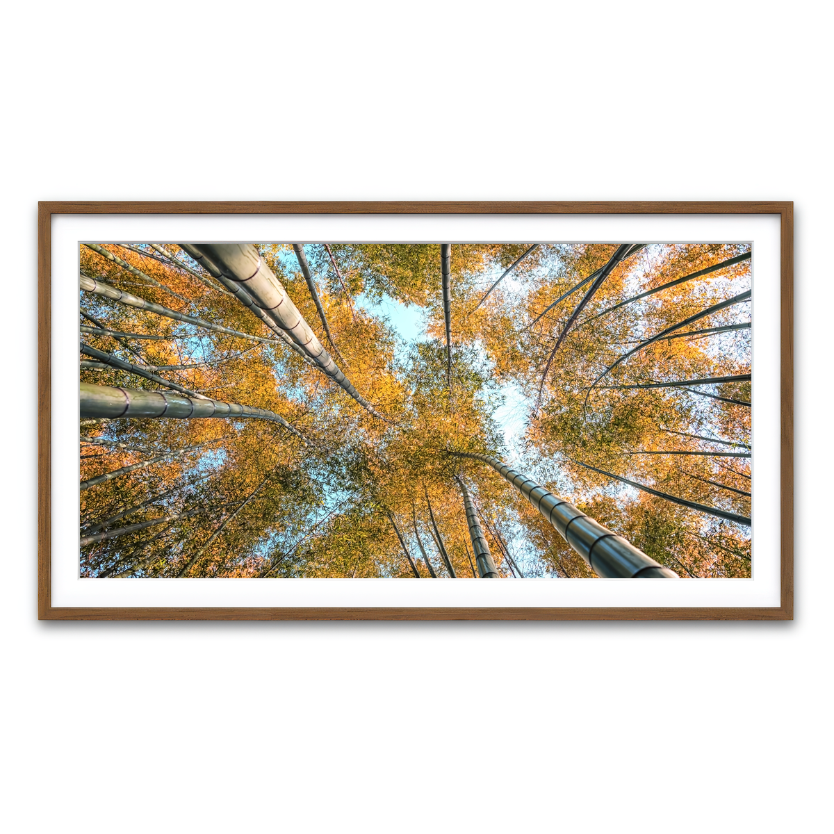 Framed Print 2x1 Walnut