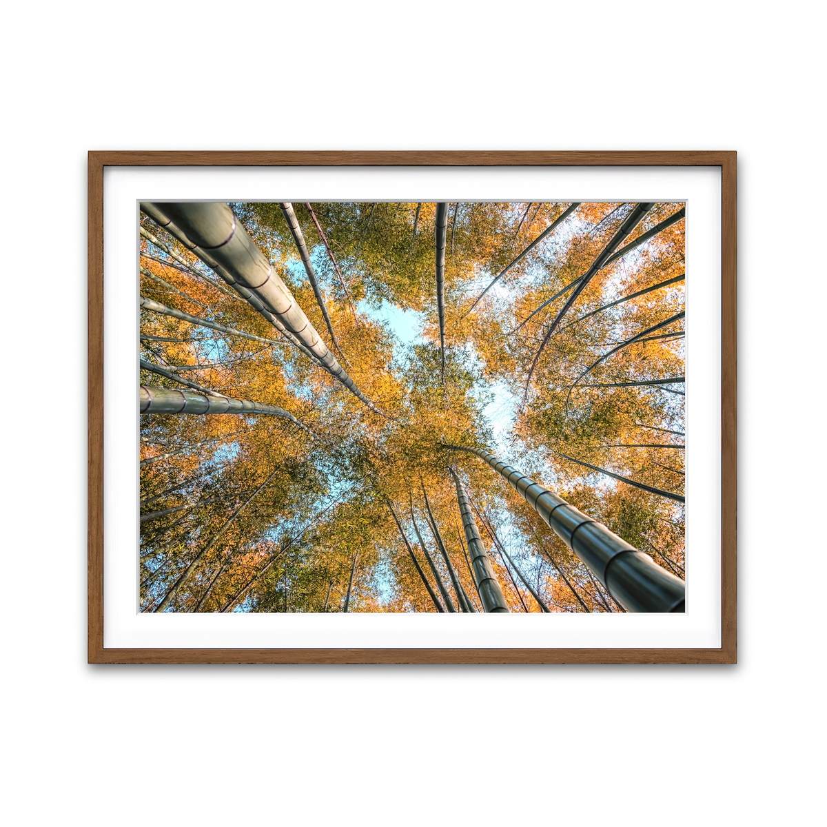Framed Print 4x3 Walnut