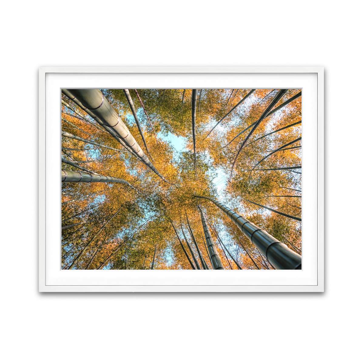 Framed Print 4x3 White