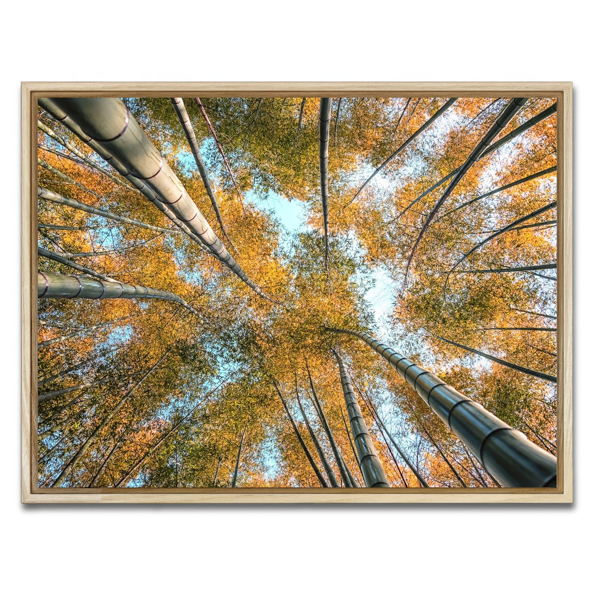 AUTO-MOCKUP WHITE | Into The Grove | 1 Piece | Natural Framed Canvas | group=4x3