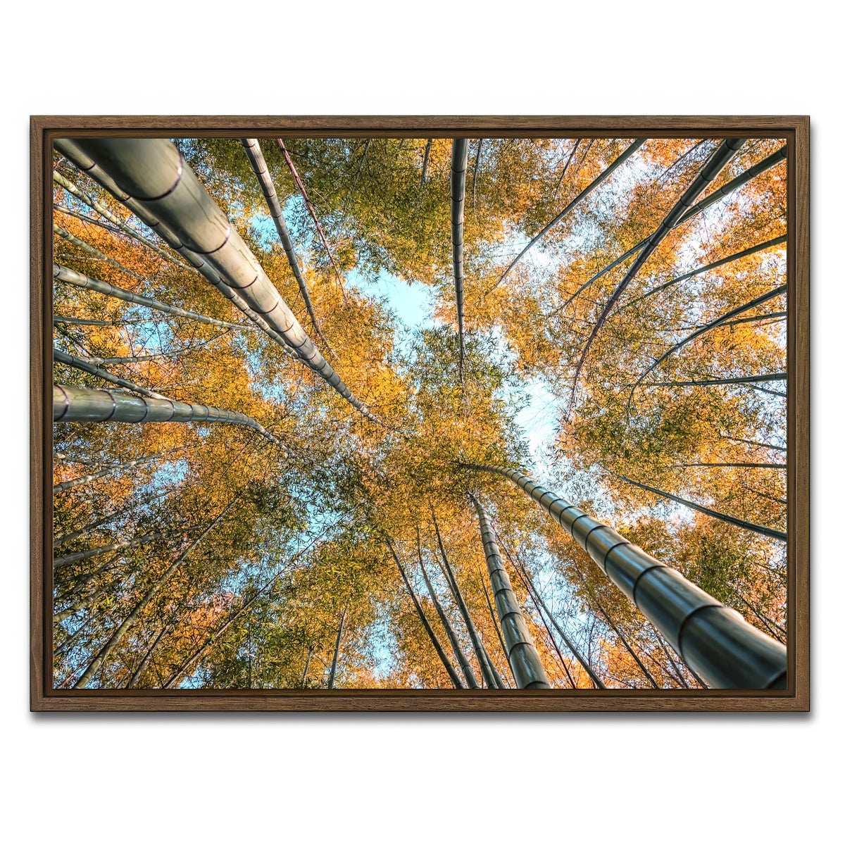 AUTO-MOCKUP WHITE | Into The Grove | 1 Piece | Walnut Framed Canvas | group=4x3