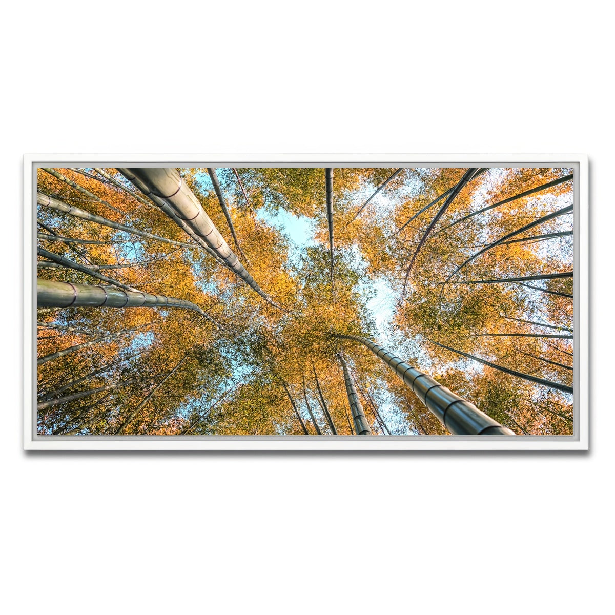 AUTO-MOCKUP WHITE | Into The Grove | 1 Piece | White Framed Canvas | group=2x1