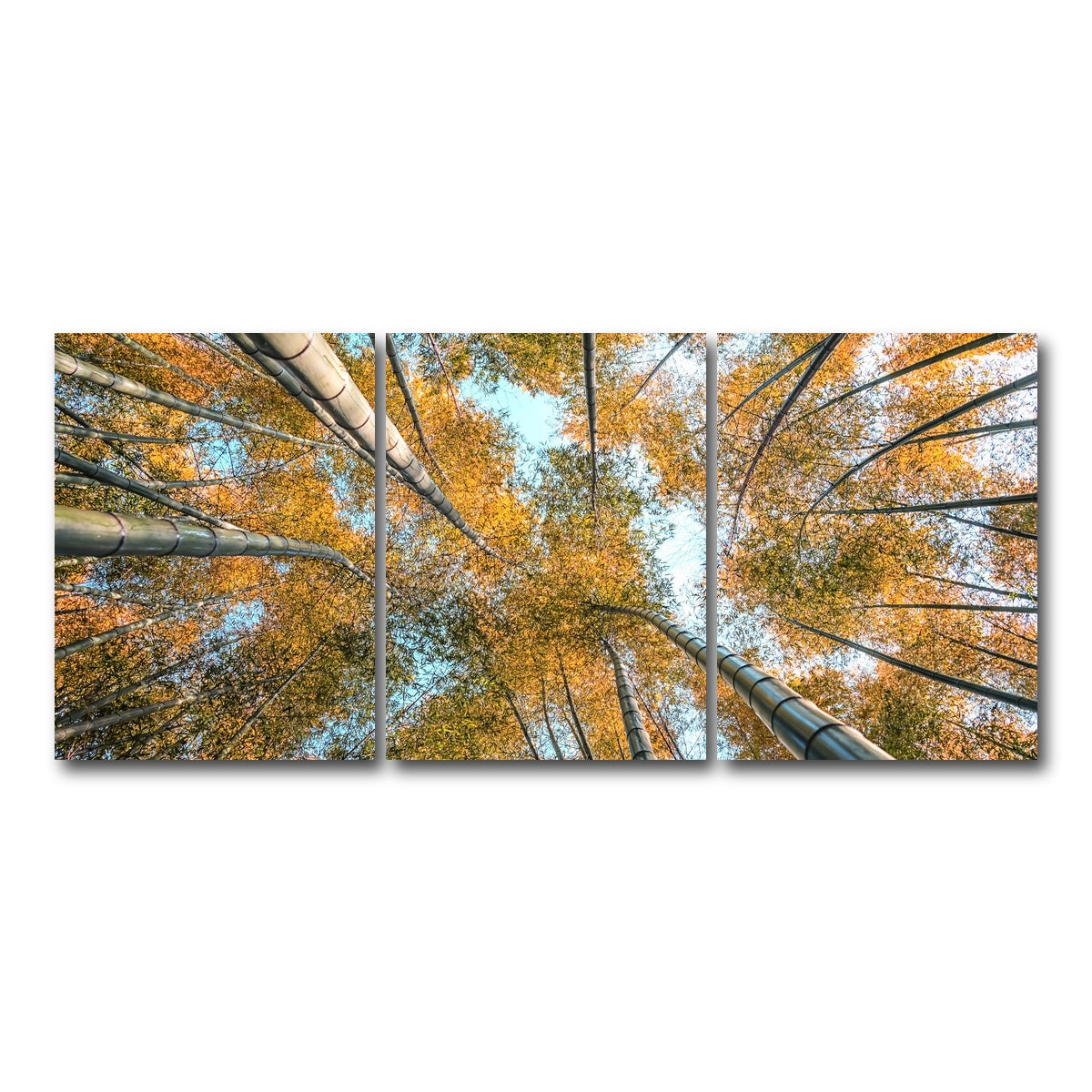AUTO-MOCKUP WHITE | Into The Grove | 3 Piece | Gallery Wrap Canvas | group=18x24