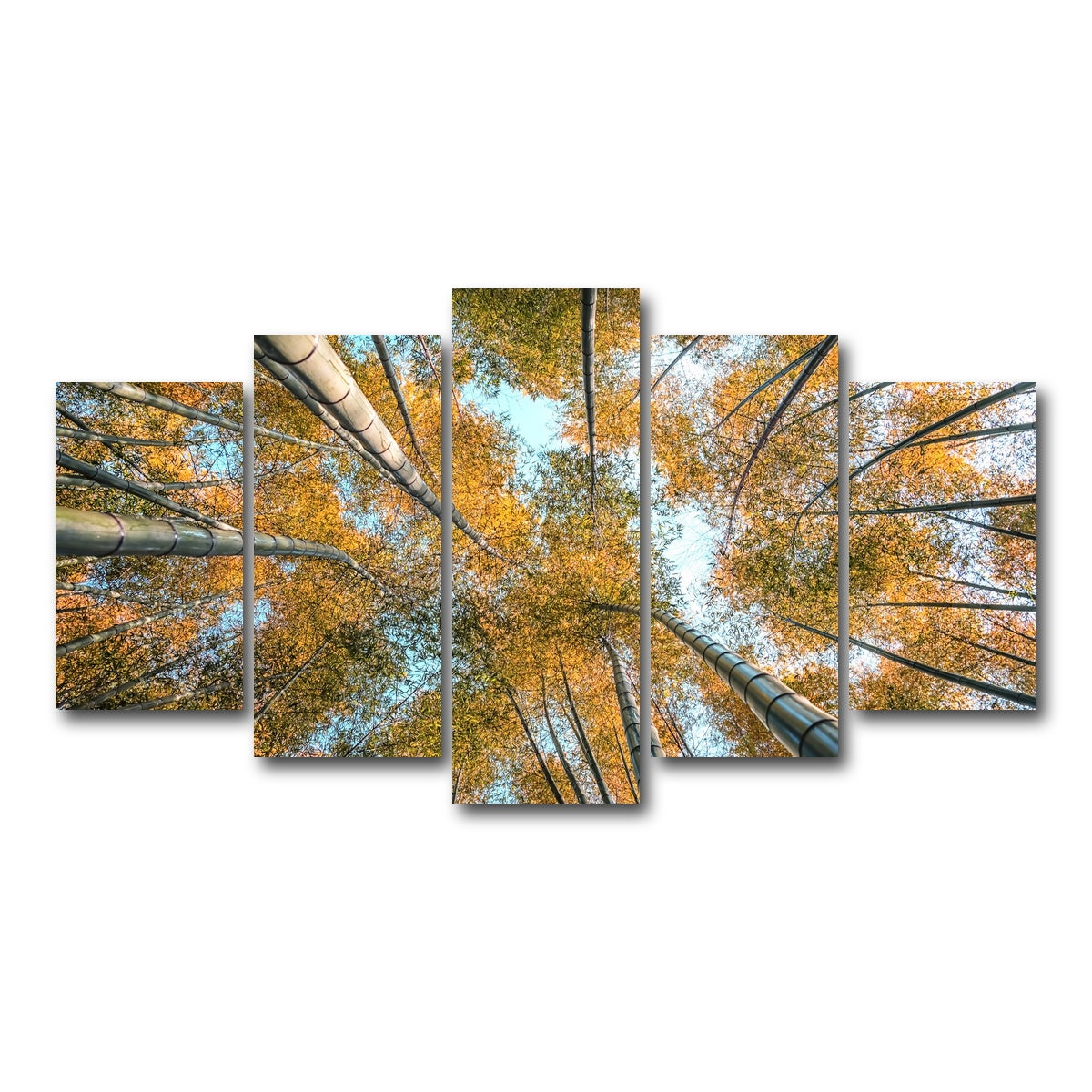 AUTO-MOCKUP WHITE | Into The Grove | 5 Piece | Gallery Wrap Canvas | group=5_normal