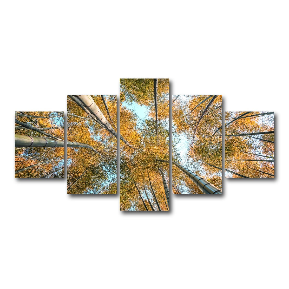 AUTO-MOCKUP WHITE | Into The Grove | 5 Piece | Gallery Wrap Canvas | group=5_short