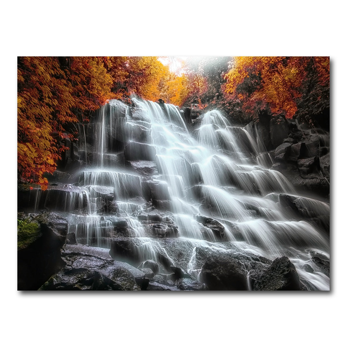 AUTO-MOCKUP WHITE | Into The Wood | 1 Piece | Gallery Wrap Canvas | group=4x3