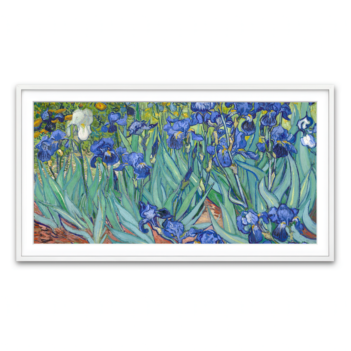 Framed Print 2x1 White