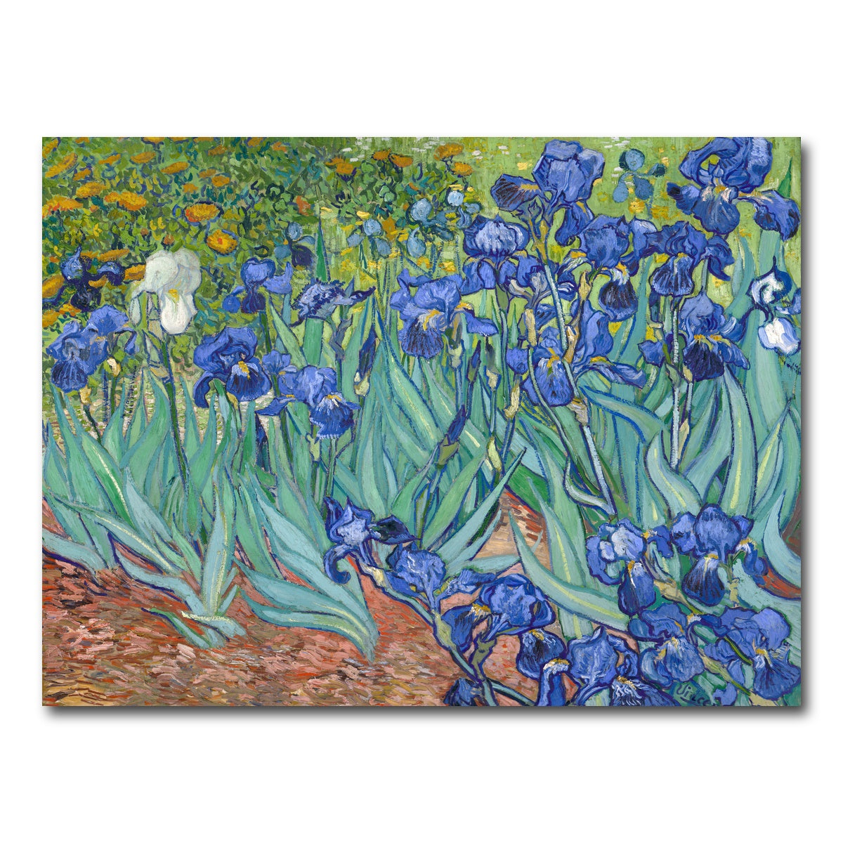 AUTO-MOCKUP WHITE | Irissen | 1 Piece | Gallery Wrap Canvas | group=4x3