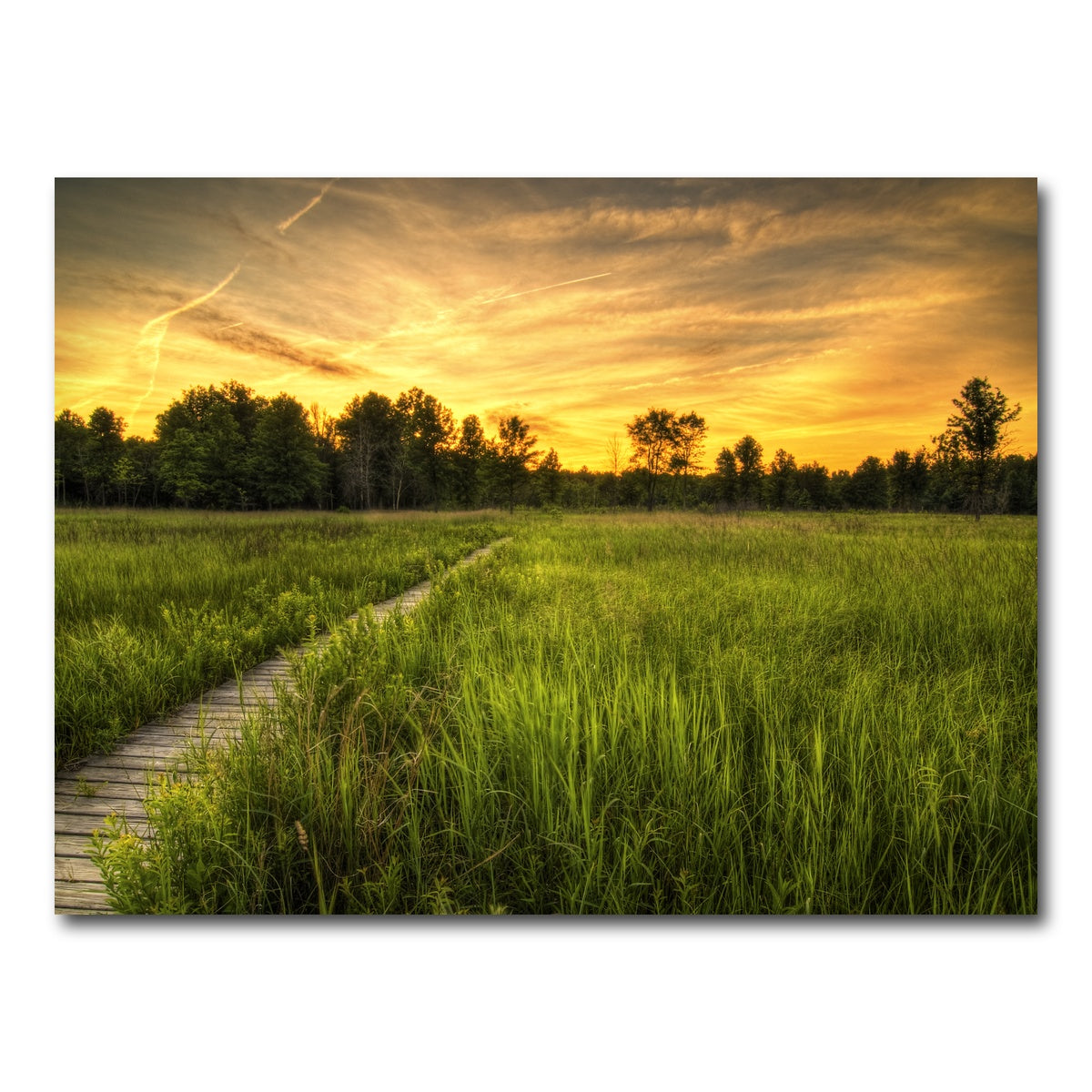 AUTO-MOCKUP WHITE | Irwin Prairie in Toledo | 1 Piece | Gallery Wrap Canvas | group=4x3
