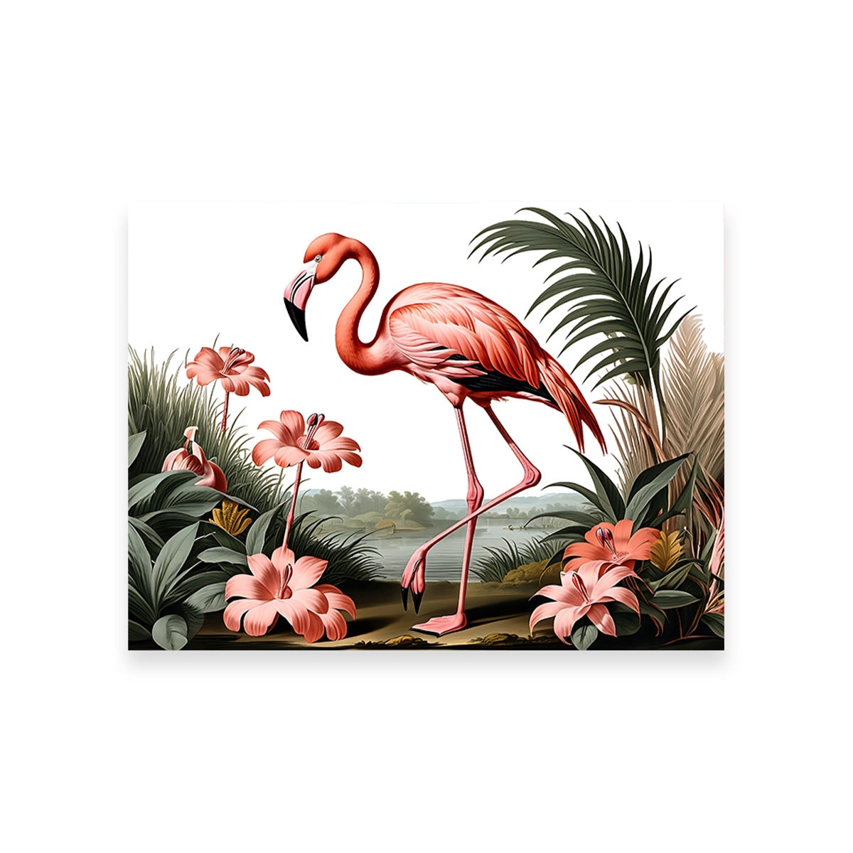 JJ Audubon's Style Flamingo Wall Art