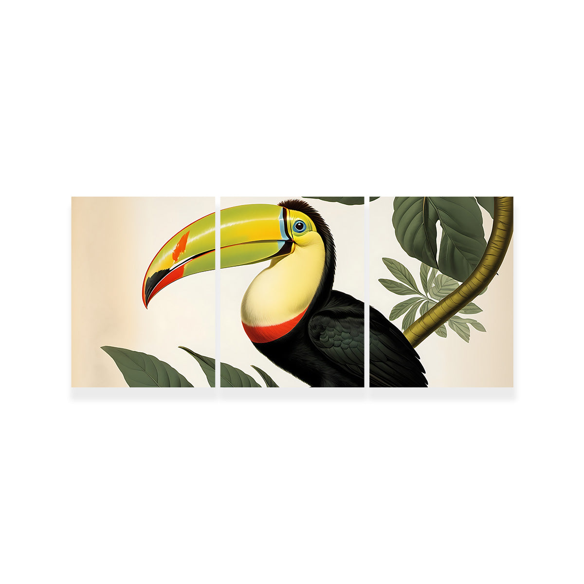 JJ Audubon's Style Keel-Billed Toucan Wall Art