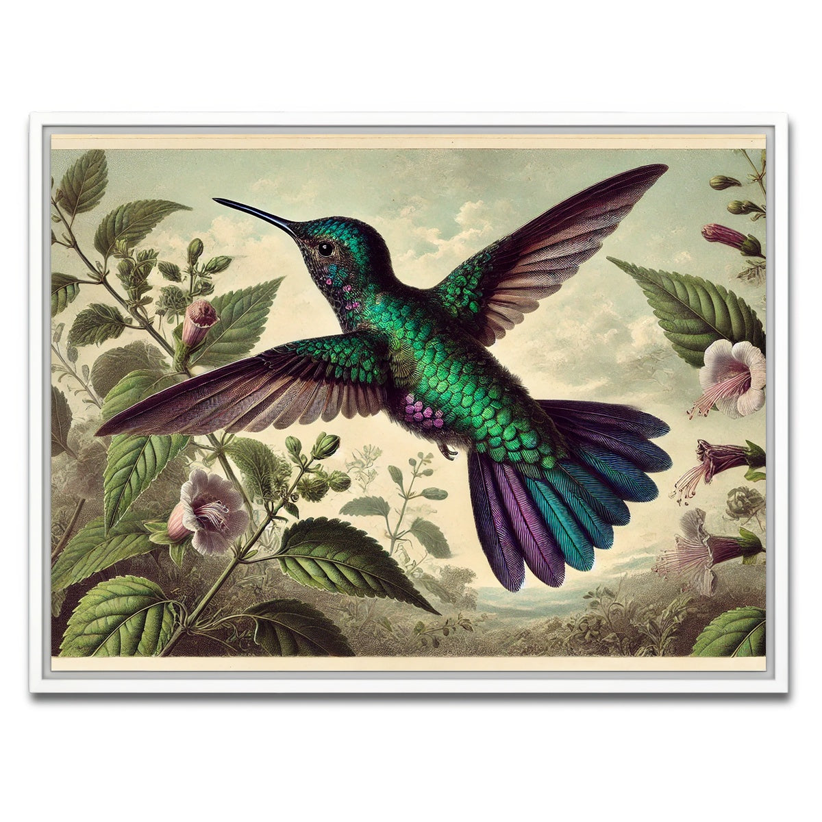 AUTO-MOCKUP WHITE | JJ Audubon's Style Hummingbird | 1 Piece | White Framed Canvas | group=4x3
