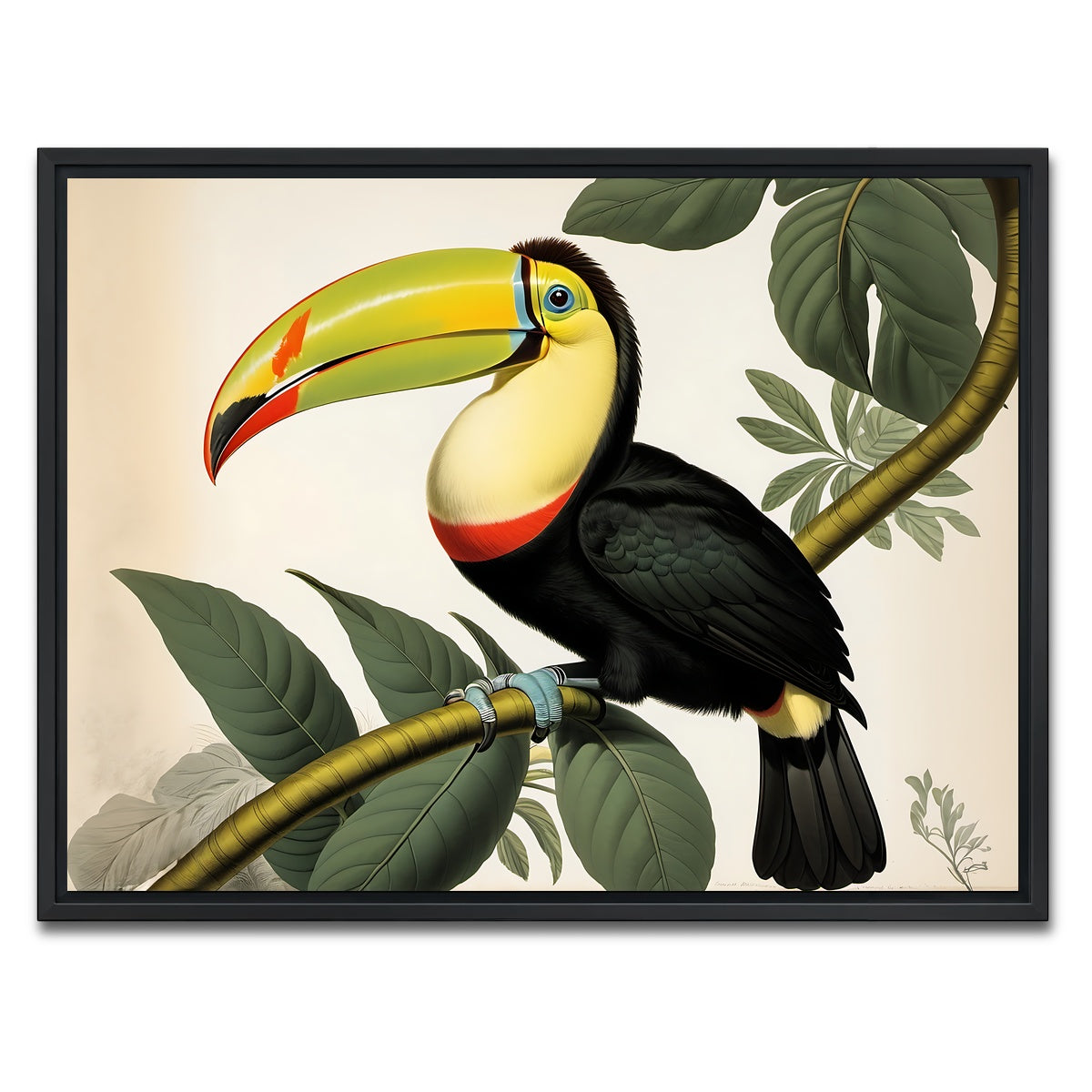 AUTO-MOCKUP WHITE | JJ Audubon's Style Keel-Billed Toucan | 1 Piece | Black Framed Canvas | group=4x3