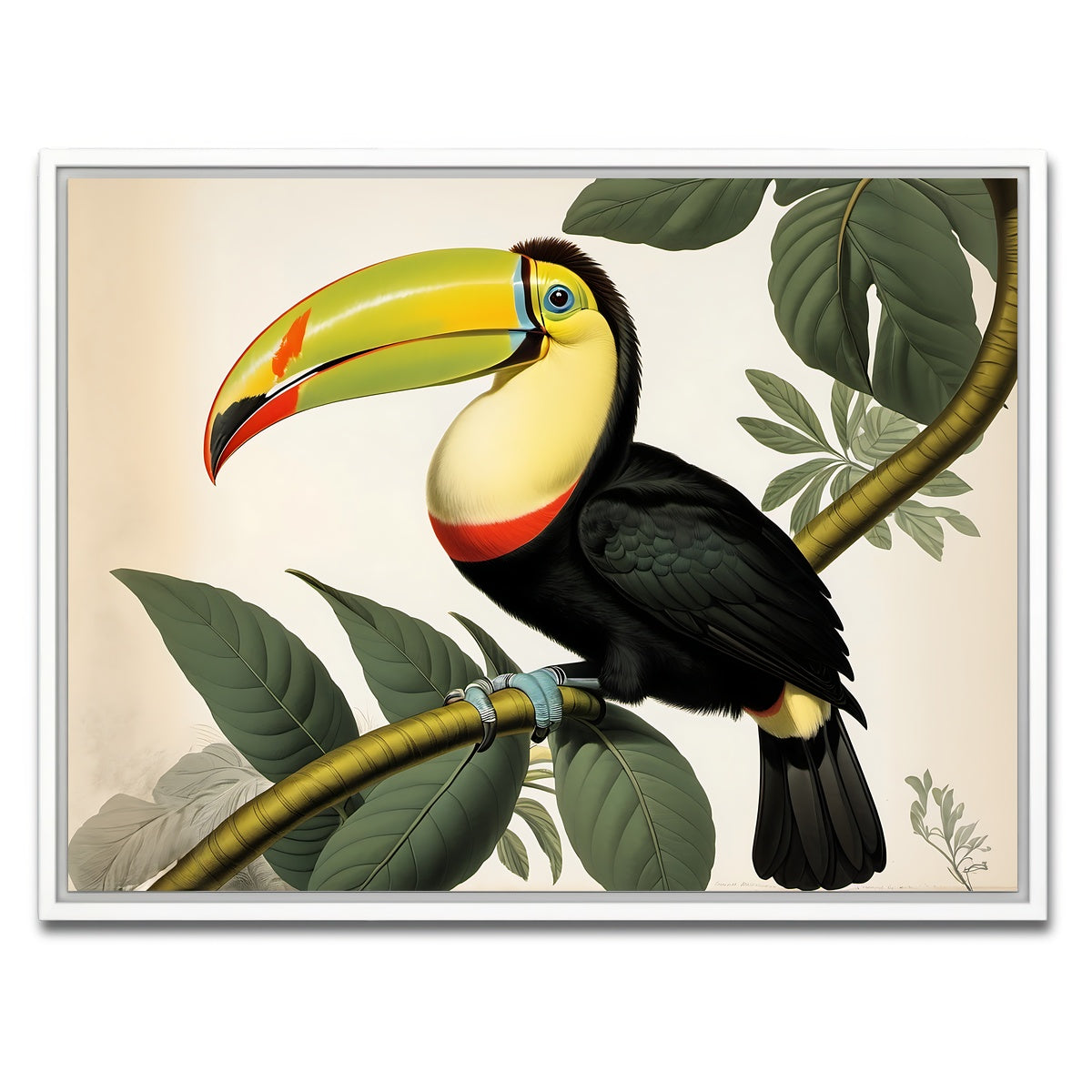 AUTO-MOCKUP WHITE | JJ Audubon's Style Keel-Billed Toucan | 1 Piece | White Framed Canvas | group=4x3