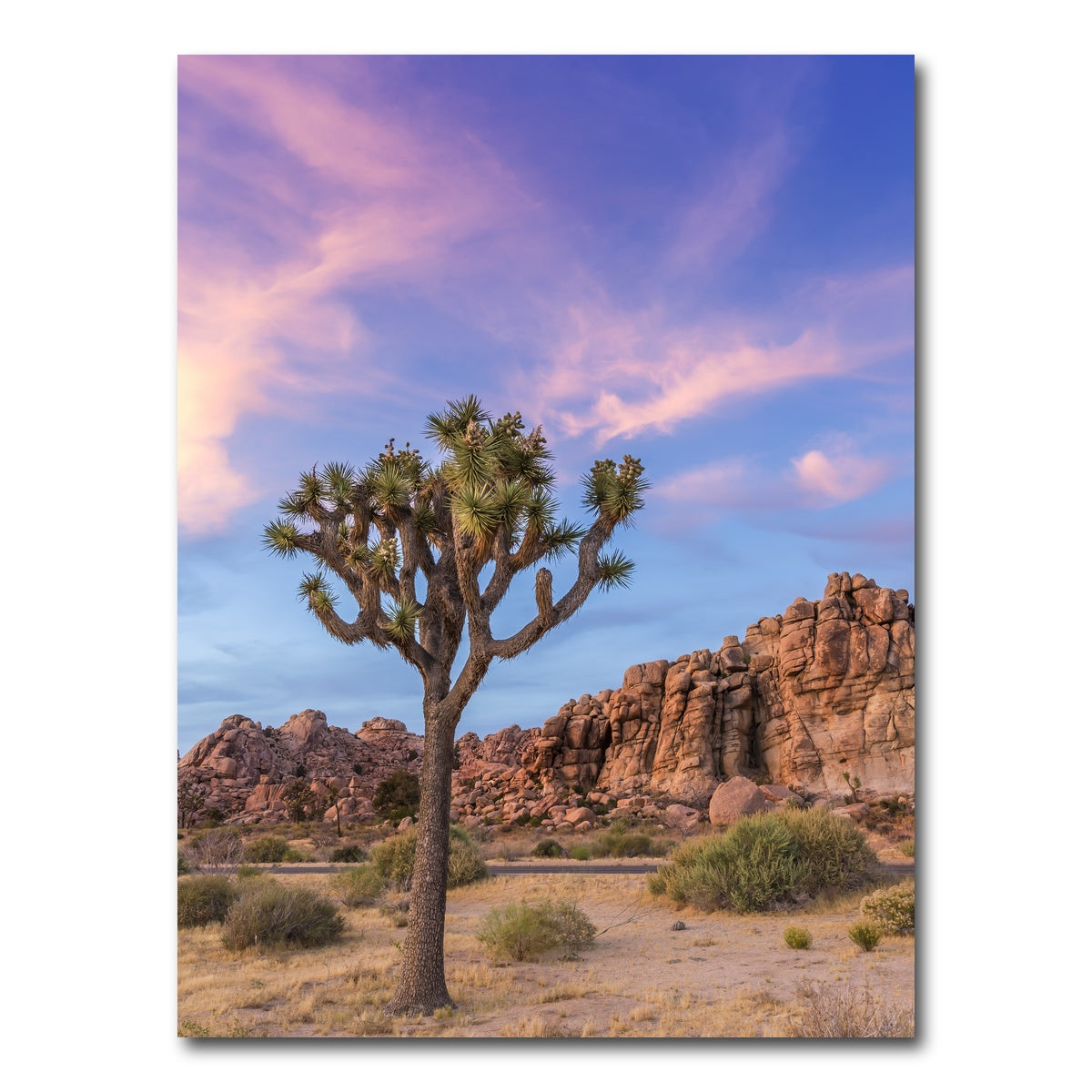 AUTO-MOCKUP WHITE | Joshua Tree Evening Atmosphere | 1 Piece | Gallery Wrap Canvas | group=3x4