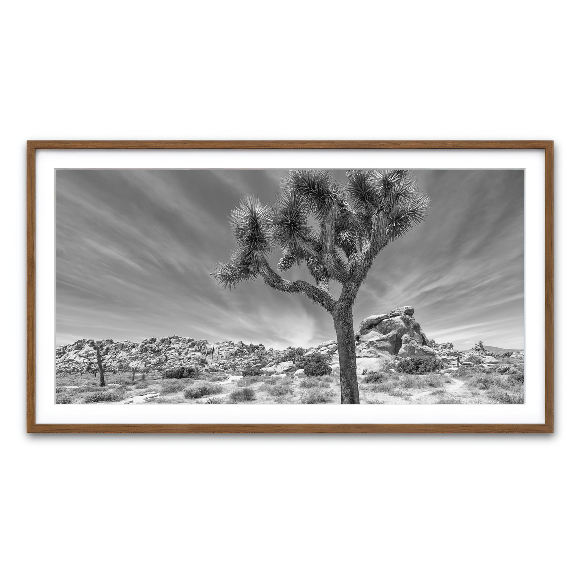Framed Print 2x1 Walnut