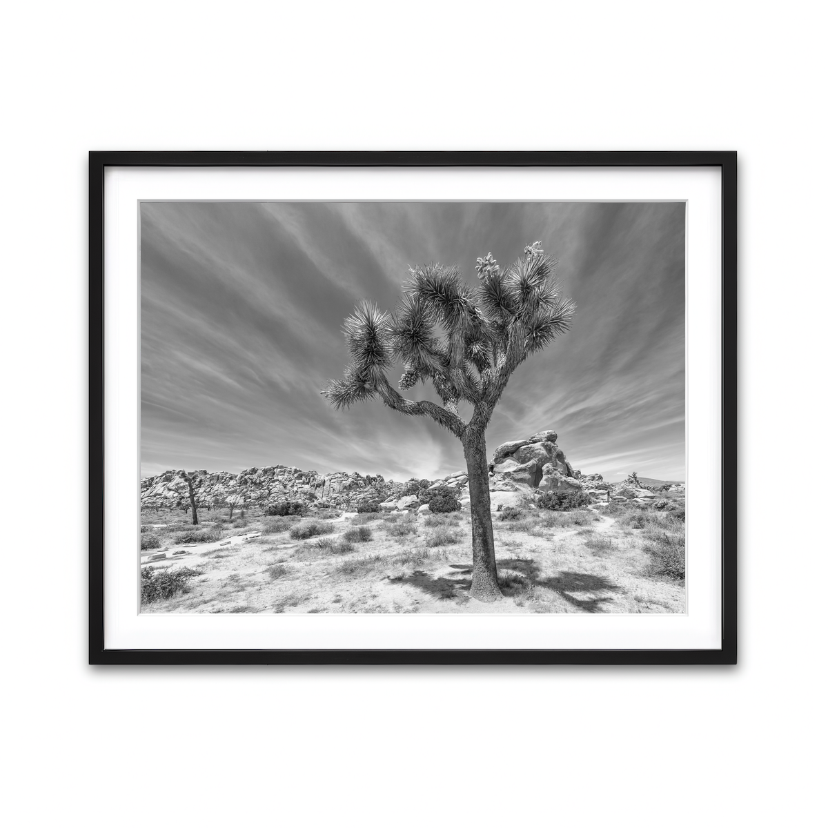 Framed Print 4x3 Black