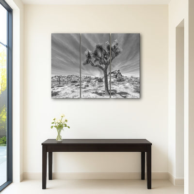 AUTO-MOCKUP ROOM | Joshua Tree National Park Inspirational Monochrome