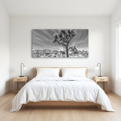 AUTO-MOCKUP ROOM | Joshua Tree National Park Inspirational Monochrome