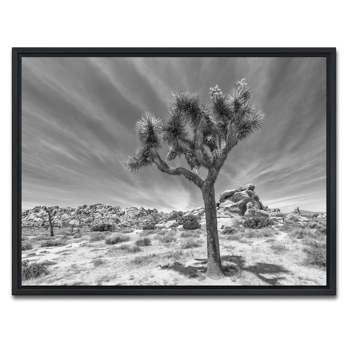 AUTO-MOCKUP WHITE | Joshua Tree National Park Inspirational Monochrome | 1 Piece | Black Framed Canvas | group=4x3