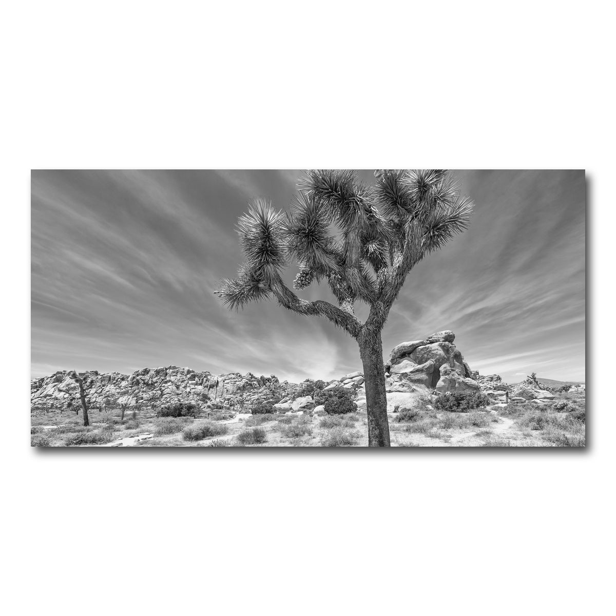 AUTO-MOCKUP WHITE | Joshua Tree National Park Inspirational Monochrome | 1 Piece | Gallery Wrap Canvas | group=2x1