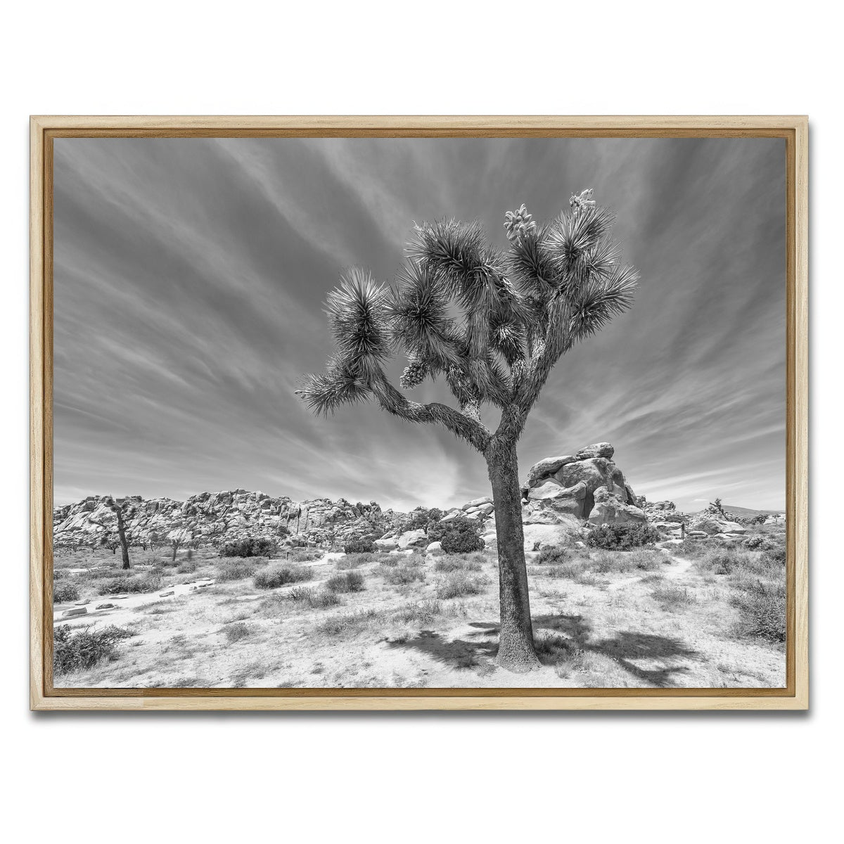 AUTO-MOCKUP WHITE | Joshua Tree National Park Inspirational Monochrome | 1 Piece | Natural Framed Canvas | group=4x3