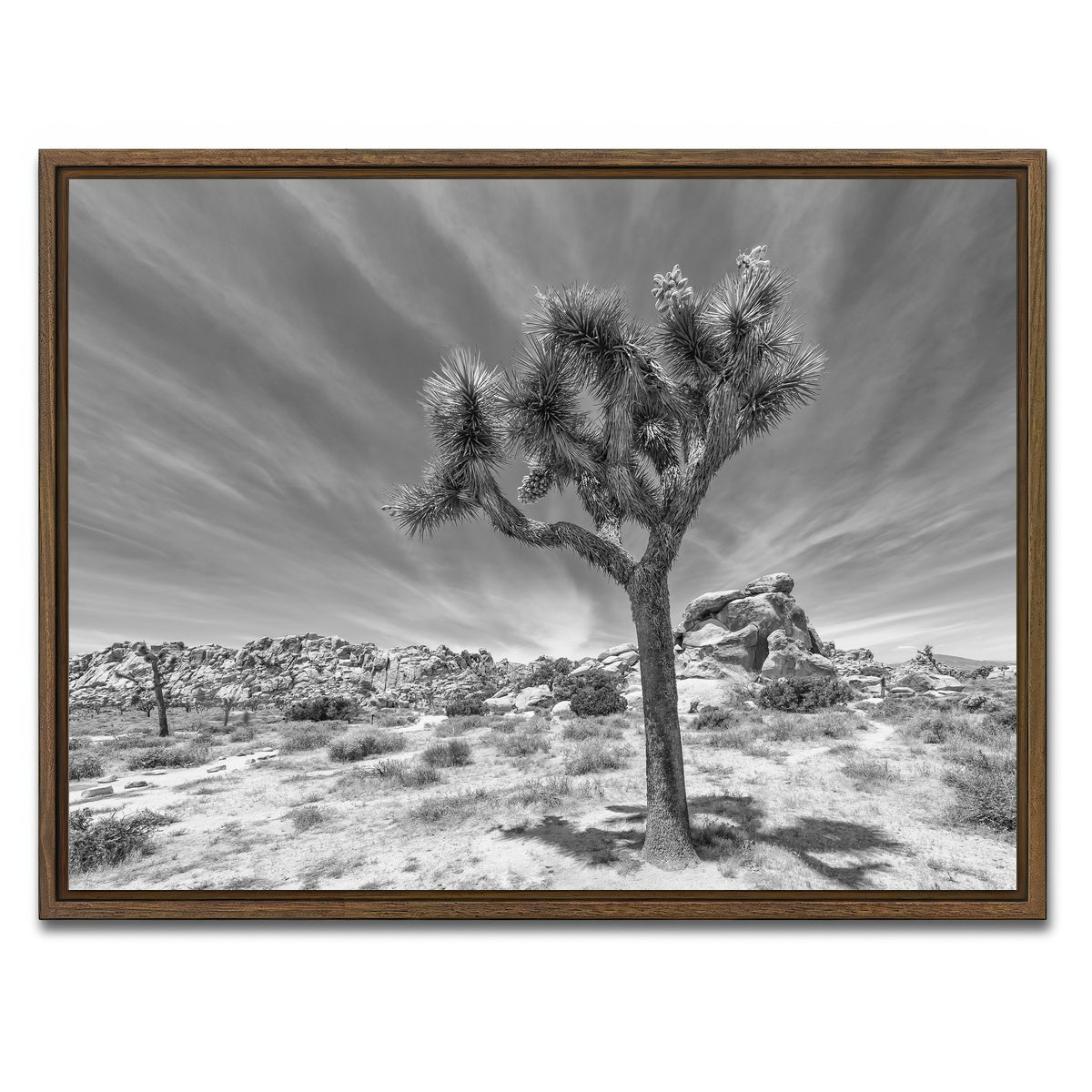 AUTO-MOCKUP WHITE | Joshua Tree National Park Inspirational Monochrome | 1 Piece | Walnut Framed Canvas | group=4x3