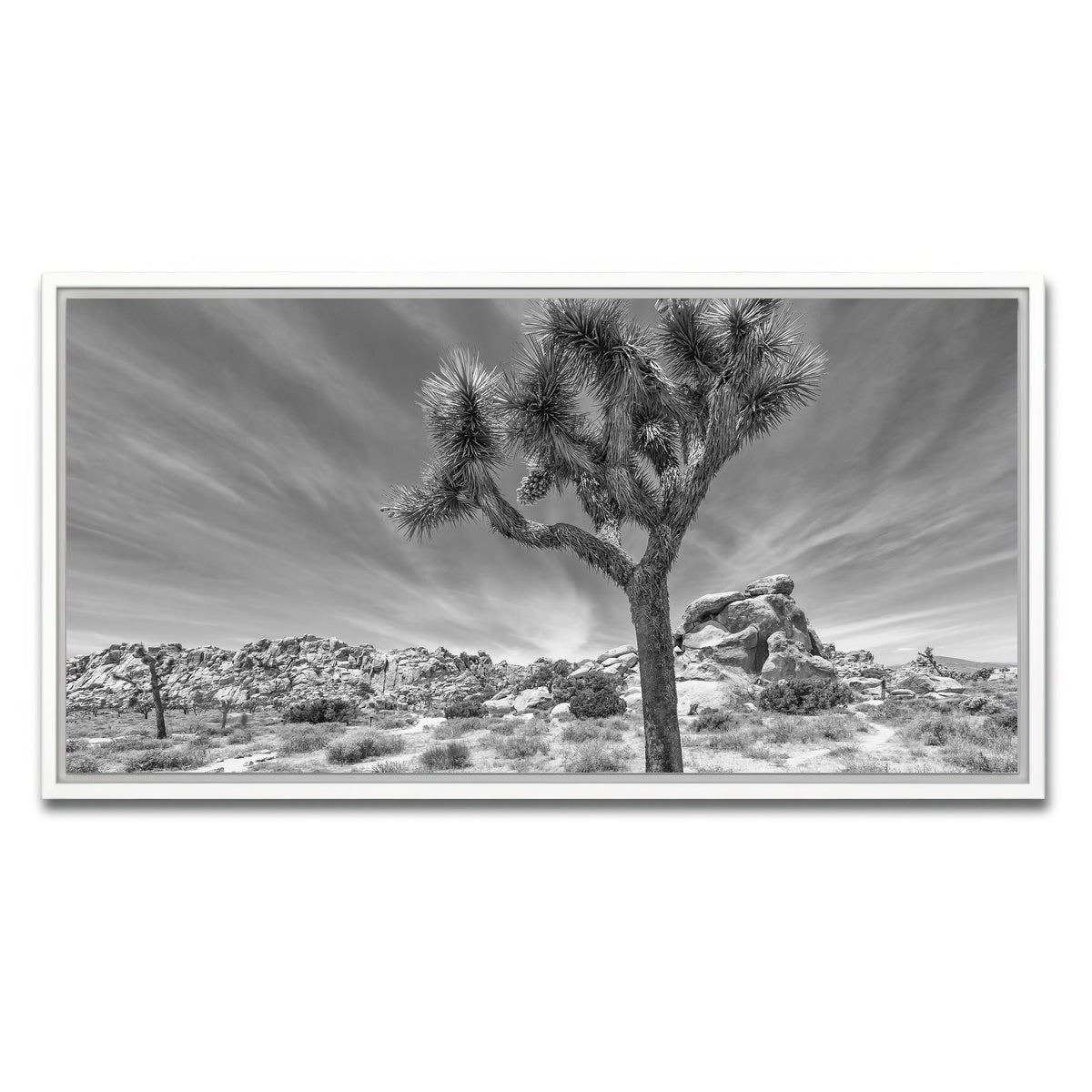 AUTO-MOCKUP WHITE | Joshua Tree National Park Inspirational Monochrome | 1 Piece | White Framed Canvas | group=2x1