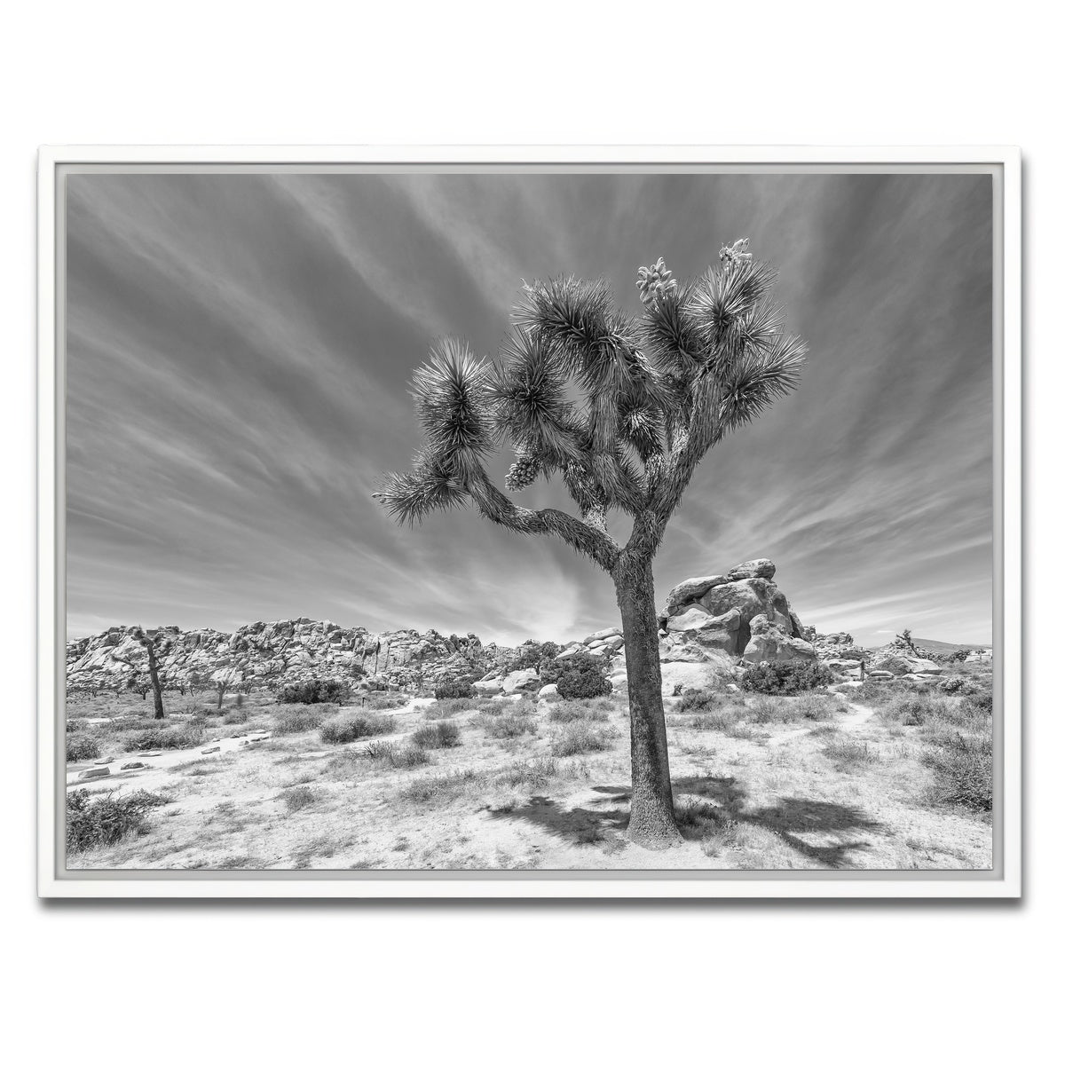 AUTO-MOCKUP WHITE | Joshua Tree National Park Inspirational Monochrome | 1 Piece | White Framed Canvas | group=4x3