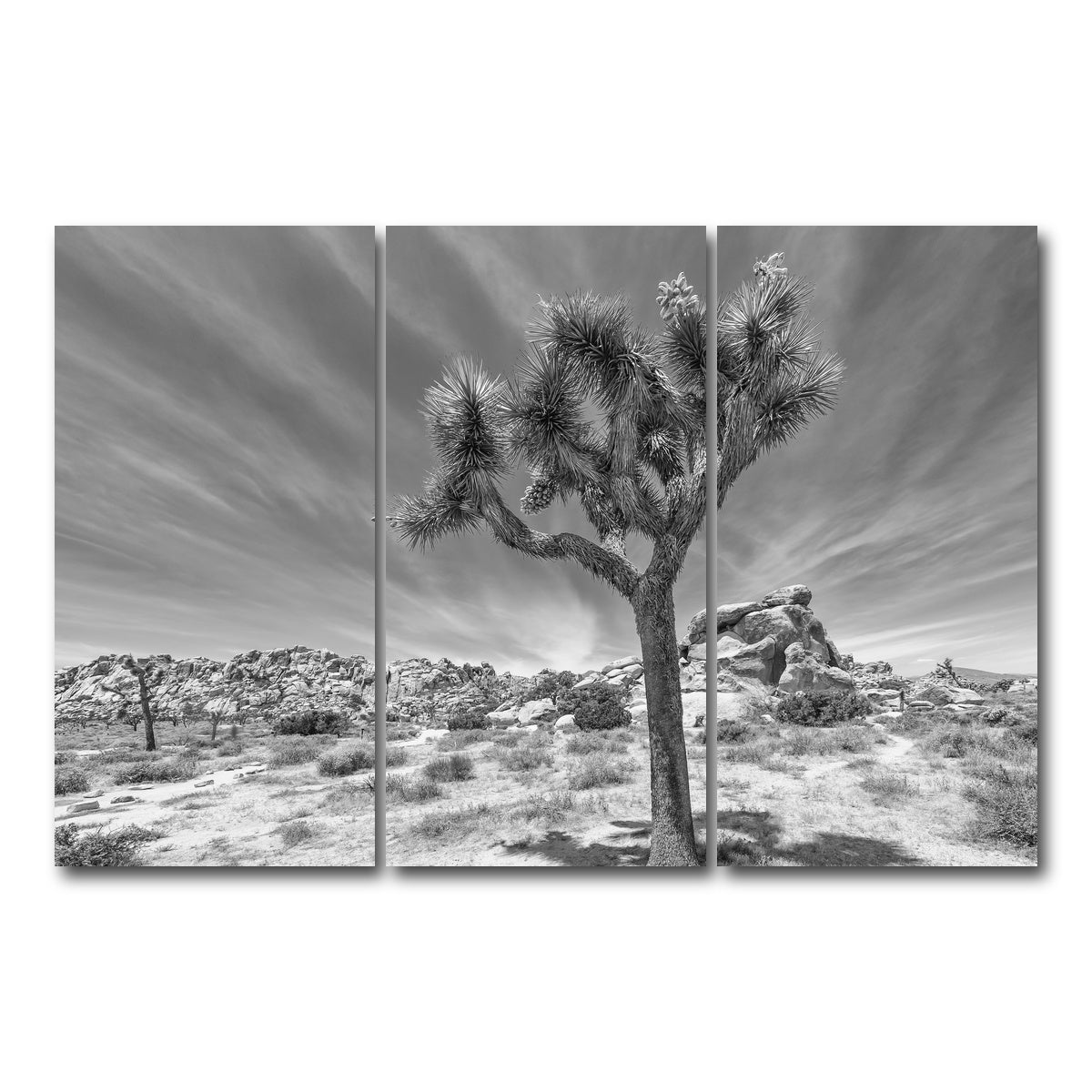 AUTO-MOCKUP WHITE | Joshua Tree National Park Inspirational Monochrome | 3 Piece | Gallery Wrap Canvas | group=12x24