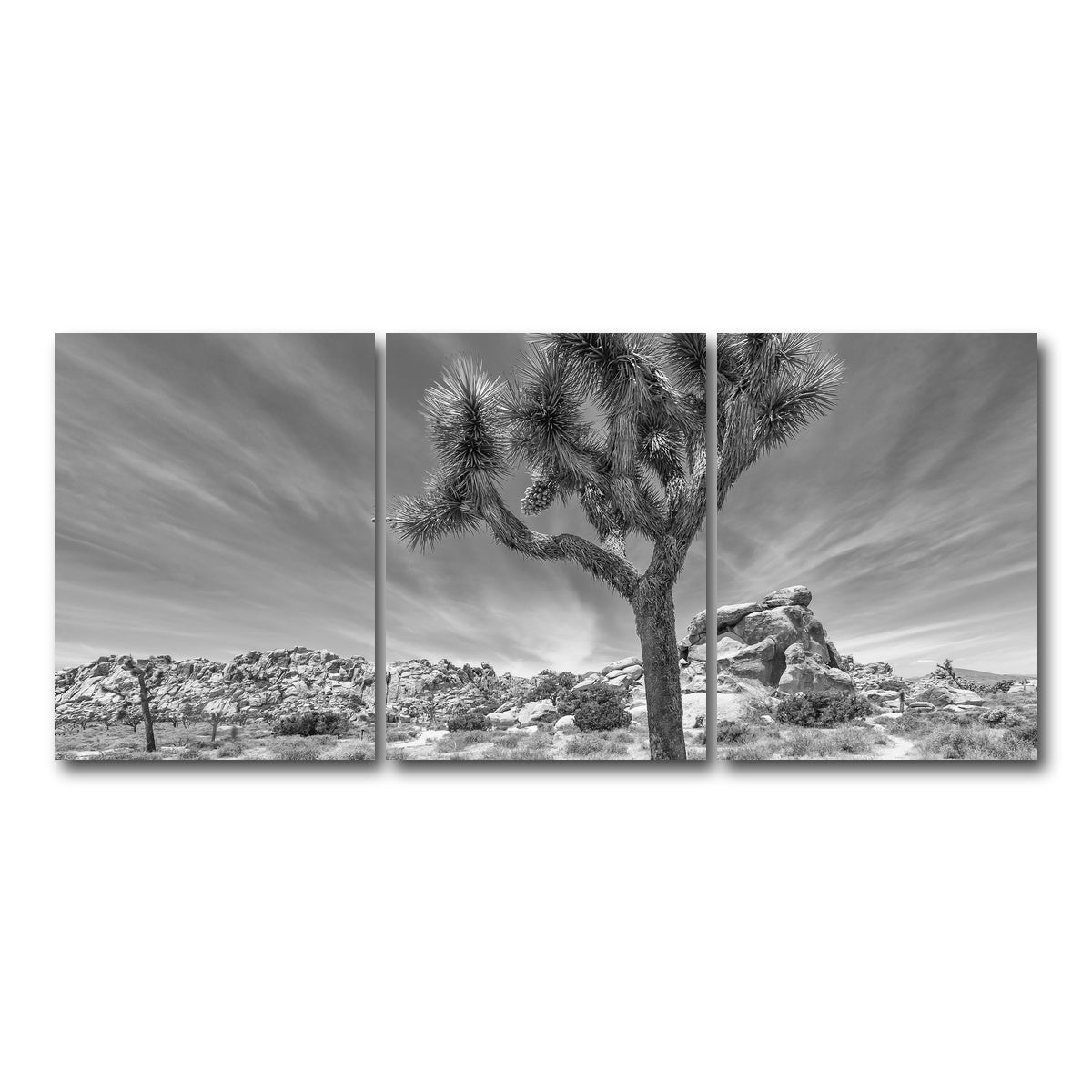 AUTO-MOCKUP WHITE | Joshua Tree National Park Inspirational Monochrome | 3 Piece | Gallery Wrap Canvas | group=18x24
